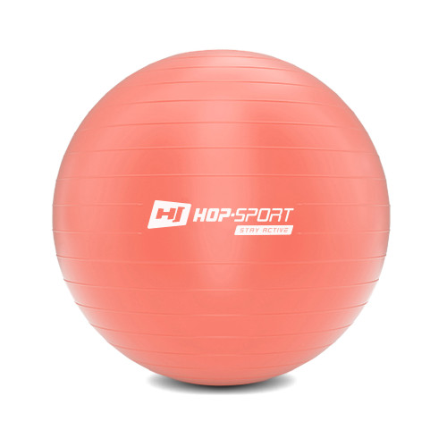 Фитбол  Hop-Sport 55cm HS-R055YB light pink + насос - фото №6